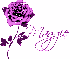 Maggie-pinkish purple rose wh sparkles