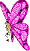 PINK BUTTERFLY GIRL