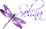 Selina w/h dragonfly