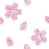 Pink Flowers