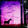 horse in magical purple night