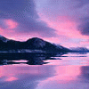 beautiful purple sunset