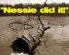 Nessie did it!