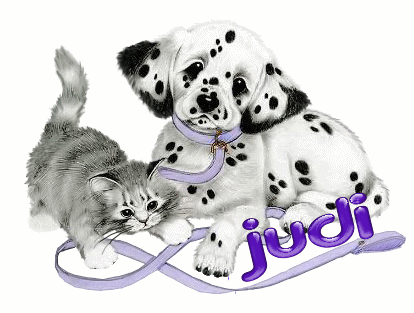 Judi