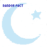 Random  Fact