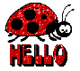 ladybug hello red