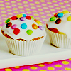  cupcakes <3