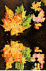 leaf, liÅ›Ä‡, liÅ›cie