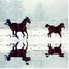 horses, colt, mare, Åºrebak, konie, klacz, uma, pferde