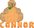 Connor - gingerbread man