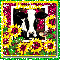 cow in a barn with sunflowers around it