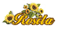 Rosita sunflowers