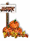 Pumpkins: Jammy