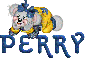 Perry - creddy bear
