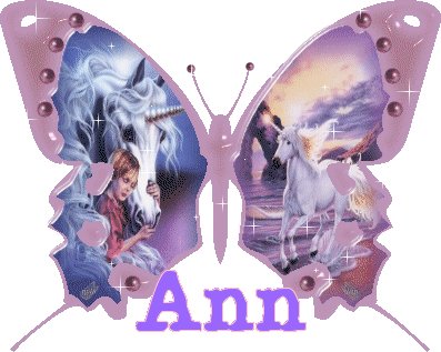 ann's pink unicorn butterfly