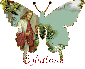 Othalene's VI verse six butterfly