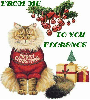 CAT WEARING MERRY CHRISTMAS SWEATER