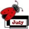 judy's ladtbug