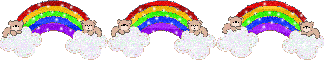 Rainbows and bears