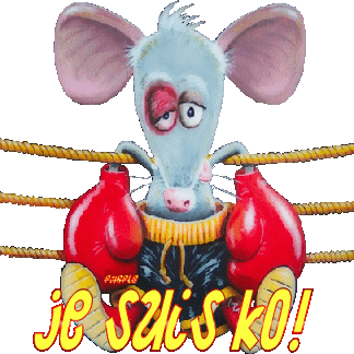 je suis ko