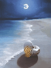 moon beach