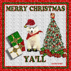 MERRY CHRISTMAS YA.LL