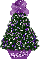 purple mismis tree,  Denise