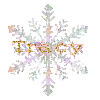 tracy snowflake