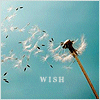 Wishing 