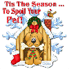 Tis The Season To Spoil Your Pet