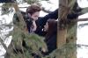Edward und Bella im Baum