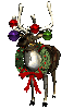 Reindeer Decorated