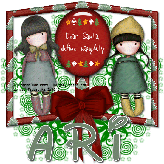 Ari - dear santa