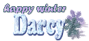 Darcy... winter snowflakes