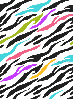 zebraa