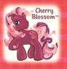 Cherry Blossom- My Lil pony