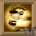 eye
