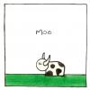 Moo Cow