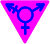 Transgender Pride - Large