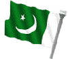 pakistan's flag