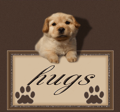 hugs