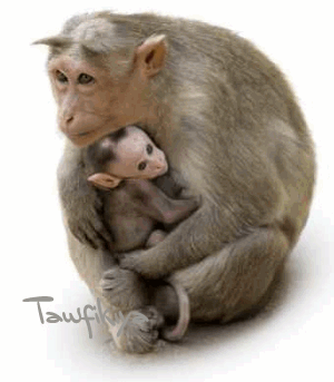 Hugs