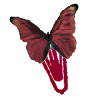Magenta butterfly clip