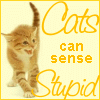 Cats can sense stupid
