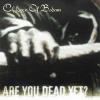 Children of Bodom Are You Dead Yet?