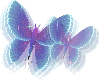 Flashy purple butterflies