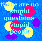 stupid people and questions