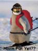 penguin skiing