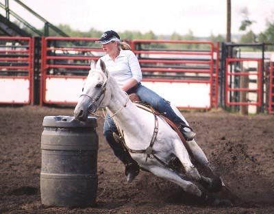 horse