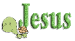 turtle jesus